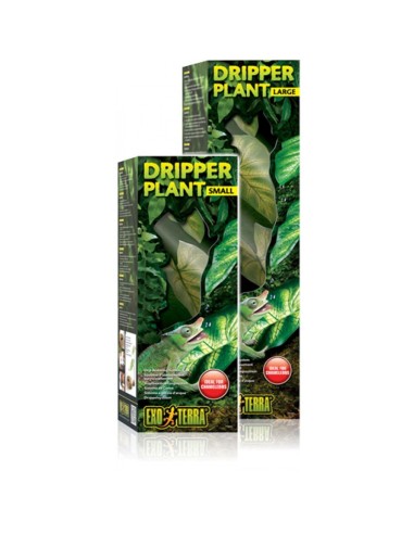 Water Dripper Plant Small Exoterra - Plante à ruissellement