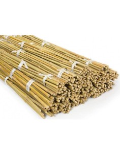 TUTEURS BAMBOU 90 CM 08/10 MM - x7