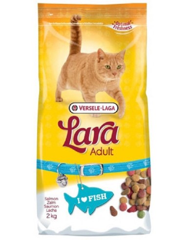 Lara Adult Saumon