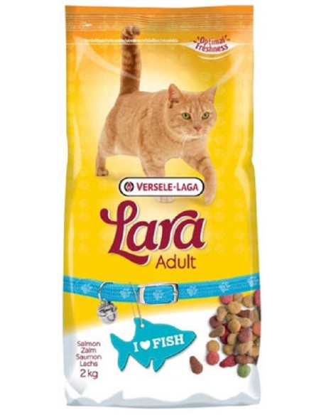 Lara Adult Saumon