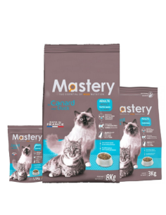Mastery Chat Canard