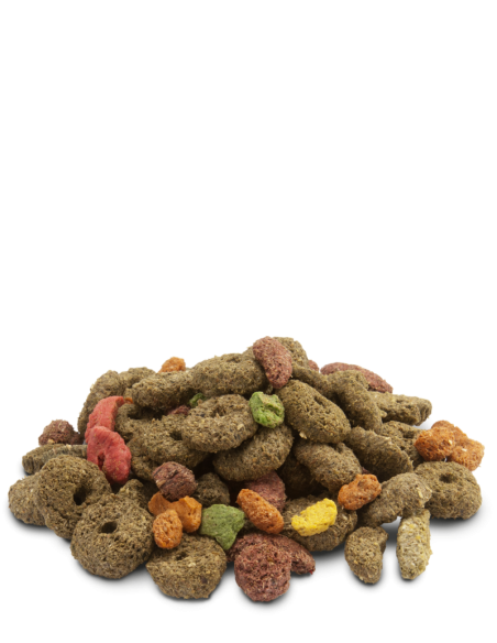 crispy snack fibres