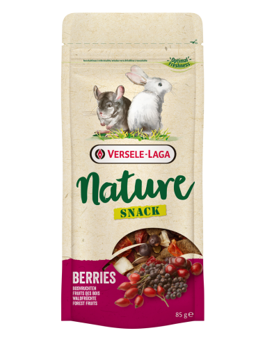 Nature Snack 85G - Différents Goûts