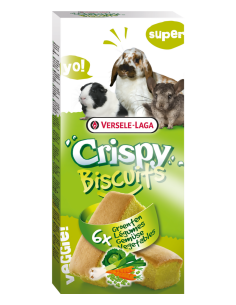 Biscuit Rongeurs - Différents Goûts 2