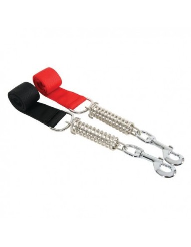 Laisse Nylon Ressort 50Cm - Différents Coloris