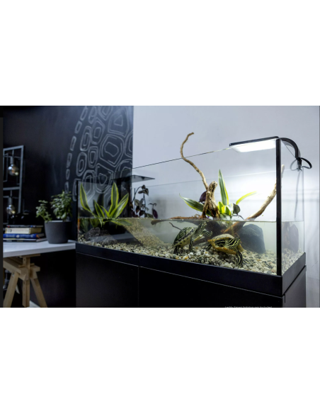 Aqua Terrarium - 60CM - 80CM - 100CM