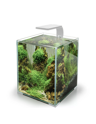 LEDDY SMART PLANT D&N - Différents Coloris