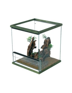 TERRARIUM "GIUNGLA" - Différentes Tailles 2