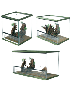TERRARIUM "GIUNGLA" - Différentes Tailles