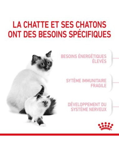Royal Canin Mother & Babycat