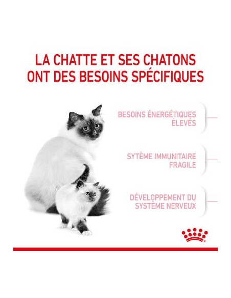 Royal Canin Mother & Babycat