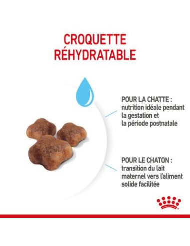 Royal Canin Mother & Babycat