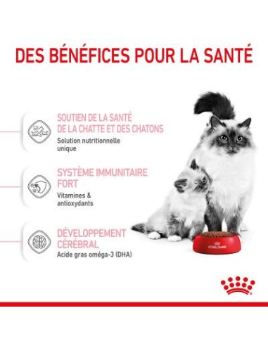 Royal Canin Mother & Babycat