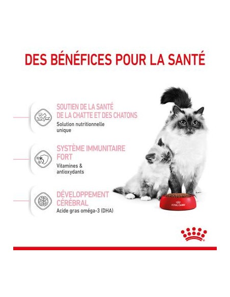 Royal Canin Mother & Babycat