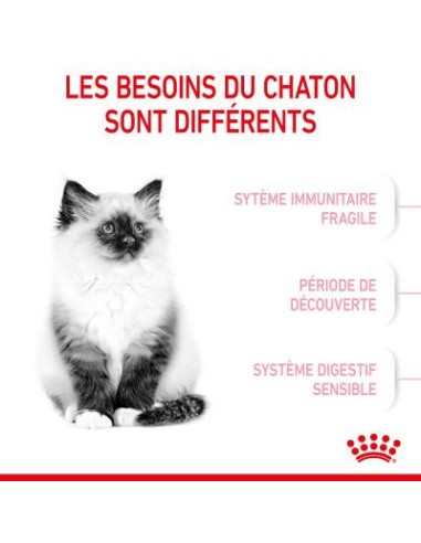 Royal Canin Kitten 34