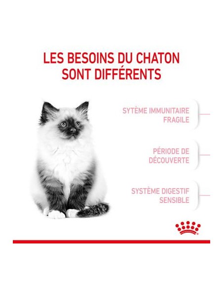 Royal Canin Kitten 34
