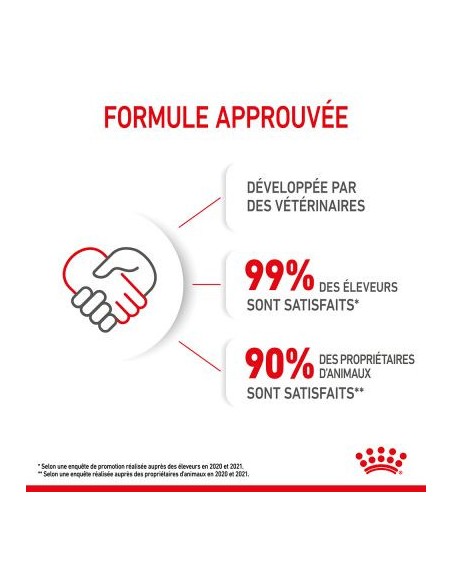 Royal Canin Kitten 34