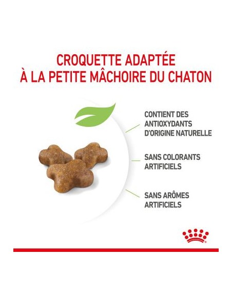Royal Canin Kitten 34