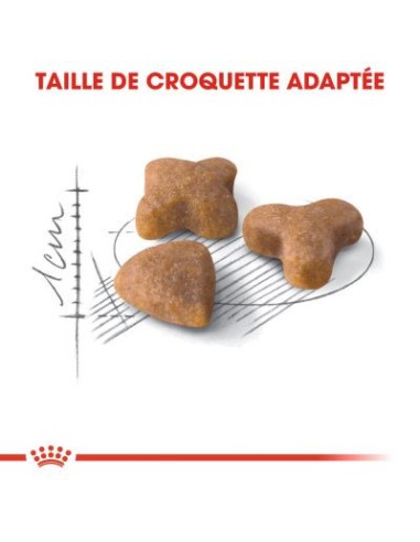 Royal Canin Sensible 33