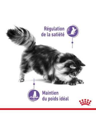 Royal Canin Appetite Control Sterilised 37