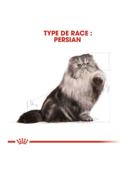 Royal Canin Persian Adult