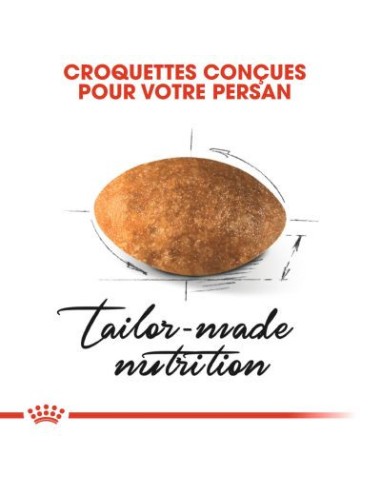 Royal Canin Persian Adult