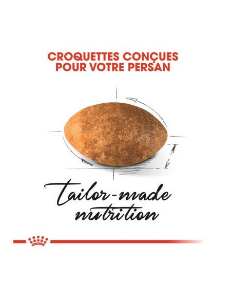 Royal Canin Persian Adult