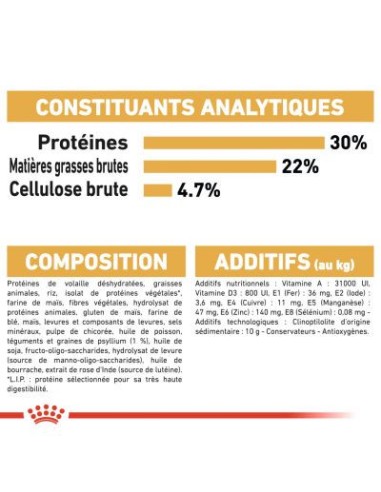 Royal Canin Persian Adult