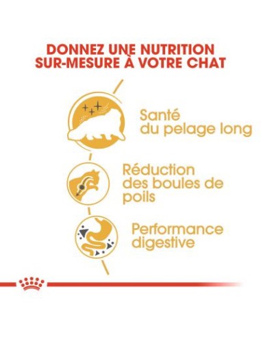 Royal Canin Persian Adult