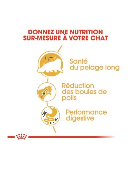 Royal Canin Persian Adult