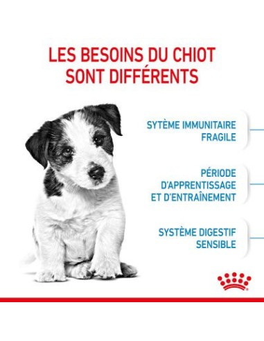 Puppy Mini - Royal Canin - Croquettes chiots de...