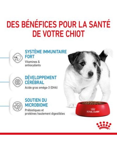 Puppy Mini - Royal Canin - Croquettes chiots de...