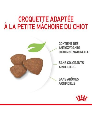 Puppy Mini - Royal Canin - Croquettes chiots de...