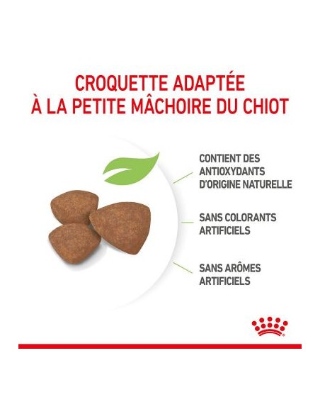 Puppy Mini - Royal Canin - Croquettes chiots de petites tailles
