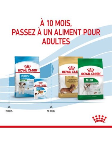 Puppy Mini - Royal Canin - Croquettes chiots de...