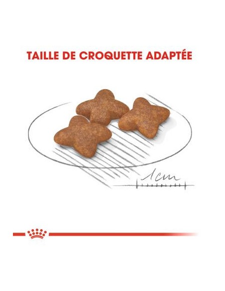 Adult Mini - Royal Canin - Croquettes chiens de petites races