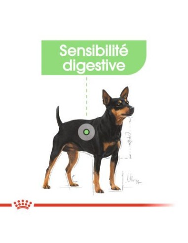 Mini Digestive Care - Royal Canin - Croquettes...