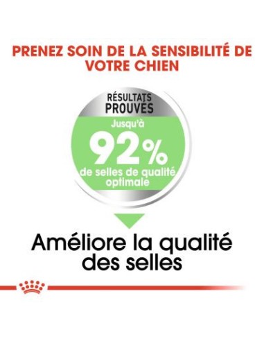 Mini Digestive Care - Royal Canin - Croquettes...