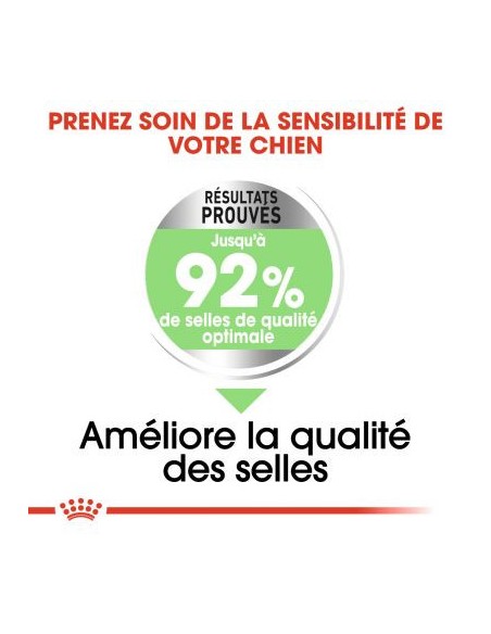 Mini Digestive Care - Royal Canin - Croquettes chiens de petites tailles