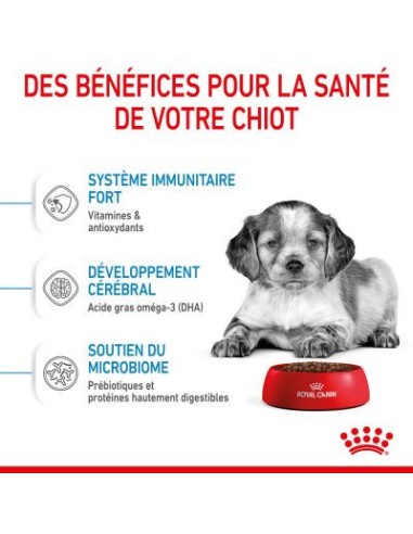 Puppy Medium - Royal Canin - Croquettes chiots