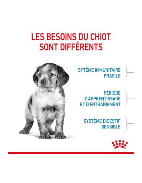 Puppy Medium - Royal Canin - Croquettes chiots