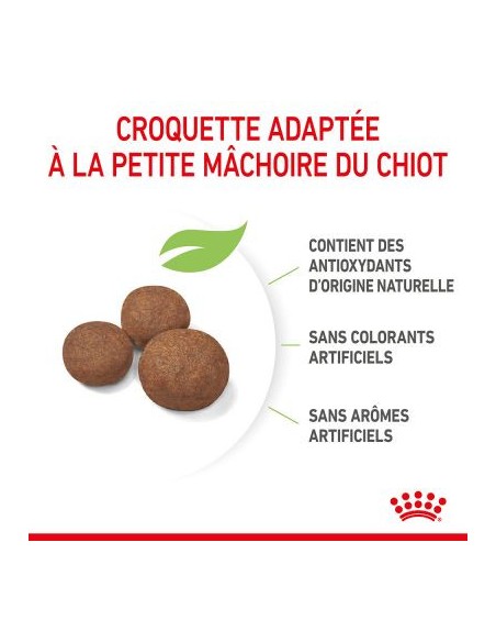 Puppy Medium - Royal Canin - Croquettes chiots
