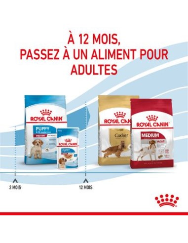 Puppy Medium - Royal Canin - Croquettes chiots