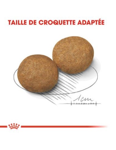 Chiens Medium - Royal Canin - Croquettes chiens...