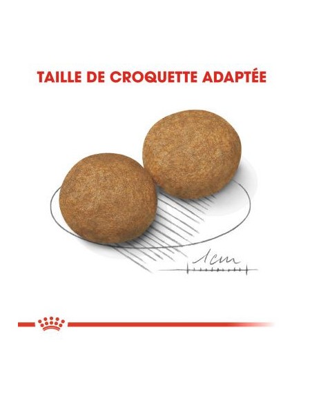 Chiens Medium - Royal Canin - Croquettes chiens adultes