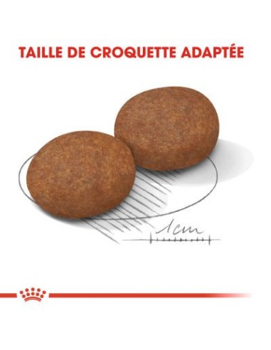 Chiens Medium 7+ - Royal Canin - Croquettes...