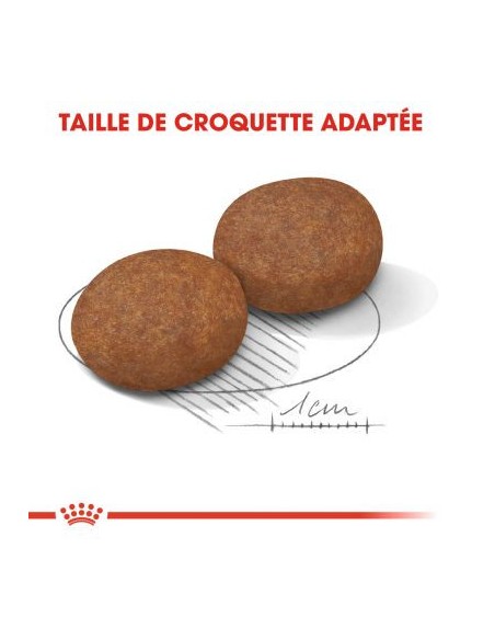 Chiens Medium 7+ - Royal Canin - Croquettes chiens adultes