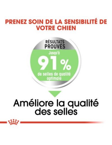 Adult Medium Digestive Care - Royal Canin -...