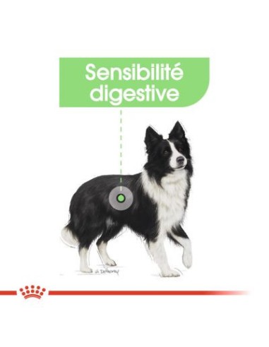 Adult Medium Digestive Care - Royal Canin -...