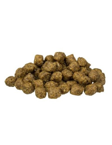 Bosch Mini Adult Agneau/Riz